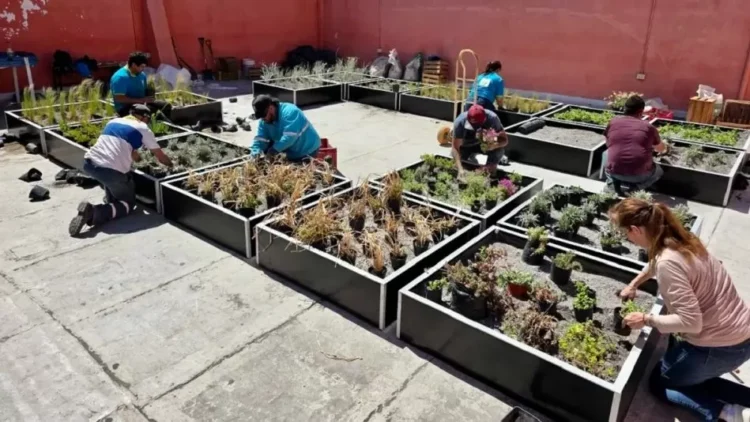 Hito ambiental en Mendoza: la ciudad lanza su primera red de terrazas vivas