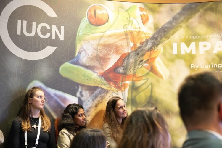 Histórico reconocimiento del ecocidio: la UICN aprueba su inclusión como crimen internacional