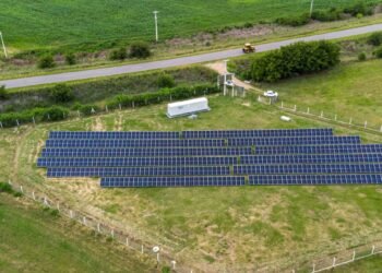 El futuro es solar: cómo la industria argentina se transforma con energía limpia