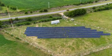 El futuro es solar: cómo la industria argentina se transforma con energía limpia