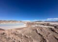 Humedales en peligro: la minería de litio y sus impactos en Catamarca