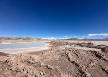 Humedales en peligro: la minería de litio y sus impactos en Catamarca