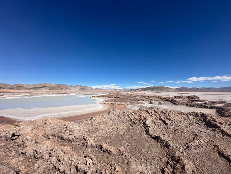 Humedales en peligro: la minería de litio y sus impactos en Catamarca