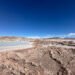 Humedales en peligro: la minería de litio y sus impactos en Catamarca