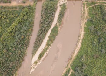 El Gran Chaco: uno de los ejemplos globales para la conservación