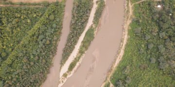 El Gran Chaco: uno de los ejemplos globales para la conservación