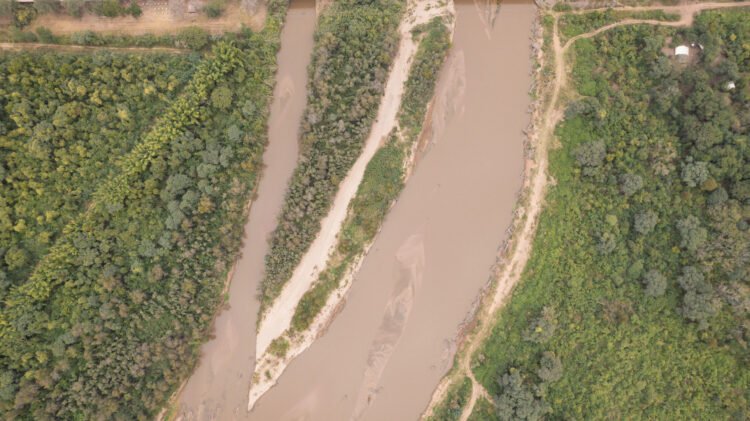 El Gran Chaco: uno de los ejemplos globales para la conservación