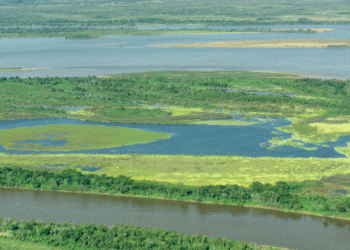 Llega a la Legislatura provincial el proyecto para salvar el humedal más biodiverso de Argentina