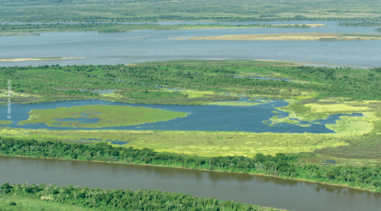 Llega a la Legislatura provincial el proyecto para salvar el humedal más biodiverso de Argentina