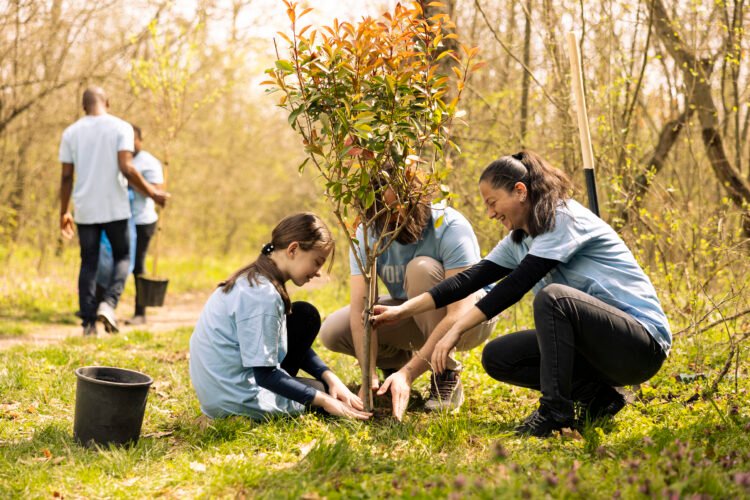 Córdoba celebra la Semana del Tabaquillo con un festival solidario para reforestar las sierras