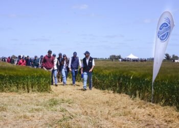 Cervecería y Maltería Quilmes presentó dos nuevas variedades de cebada e invirtió USD 6 millones