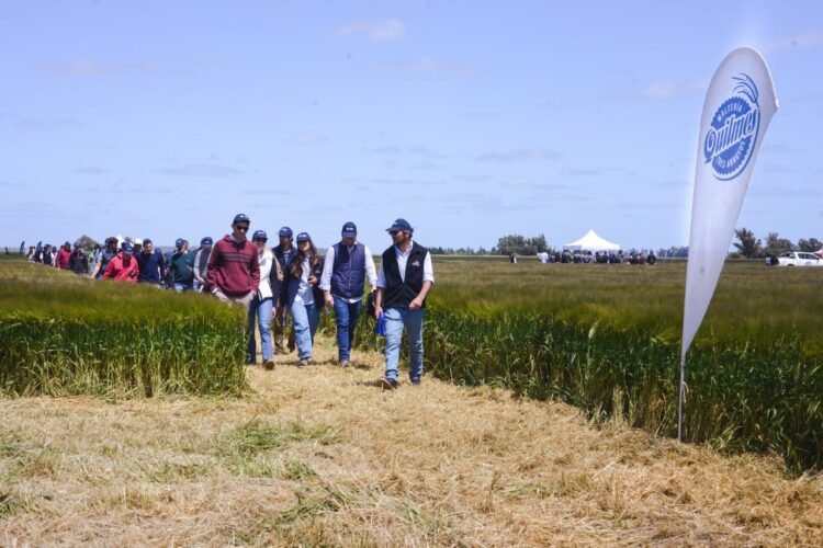 Cervecería y Maltería Quilmes presentó dos nuevas variedades de cebada e invirtió USD 6 millones