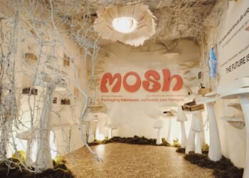 Made in Argentina: cómo es el packaging hecho con hongos que se degrada en 45 días