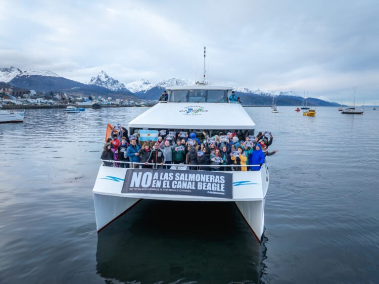 Tierra del Fuego en alerta: intentan modificar la ley que prohíbe la salmonicultura y crece la resistencia social