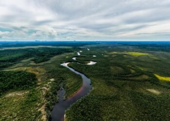 CAF destinará 40.000 millones de dólares para el crecimiento verde en los próximos cinco años en América Latina y el Caribe