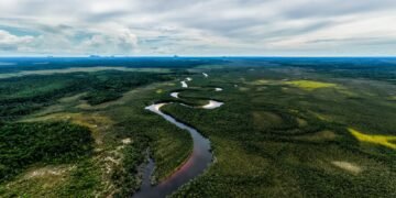CAF destinará 40.000 millones de dólares para el crecimiento verde en los próximos cinco años en América Latina y el Caribe