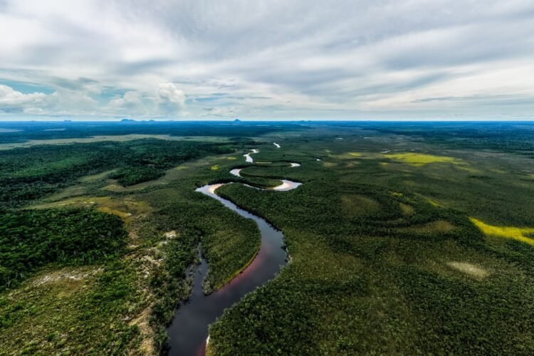 CAF destinará 40.000 millones de dólares para el crecimiento verde en los próximos cinco años en América Latina y el Caribe