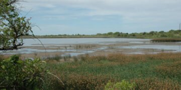 Más Vale Volando: el evento que invita a reconectarse con la naturaleza en plena ciudad
