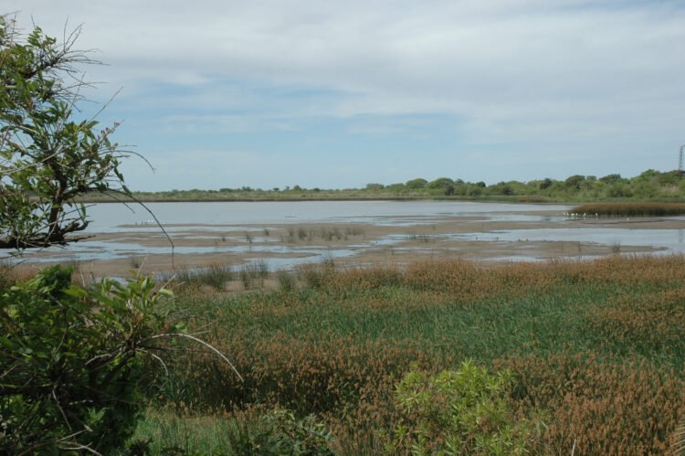 Más Vale Volando: el evento que invita a reconectarse con la naturaleza en plena ciudad