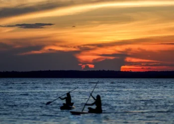 Por qué todos hablan de cuidar la Amazonía (y por qué realmente importa)