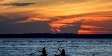 Por qué todos hablan de cuidar la Amazonía (y por qué realmente importa)