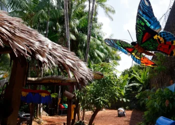 Belém do Pará: la ciudad amazónica que recibe la COP30 y expone todas las tensiones del clima