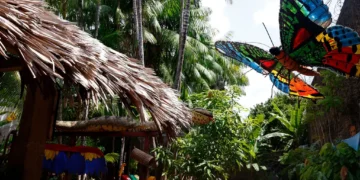 Belém do Pará: la ciudad amazónica que recibe la COP30 y expone todas las tensiones del clima