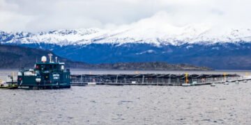 Desarrollo y sostenibilidad: la otra forma de vivir de las comunidades costeras ancestrales del mar chileno