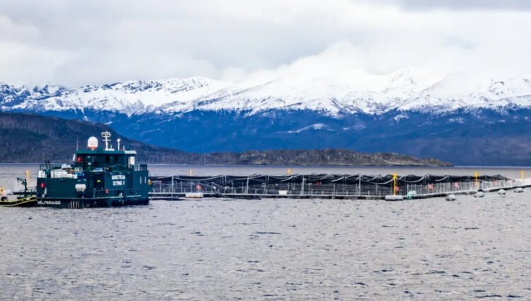 Desarrollo y sostenibilidad: la otra forma de vivir de las comunidades costeras ancestrales del mar chileno