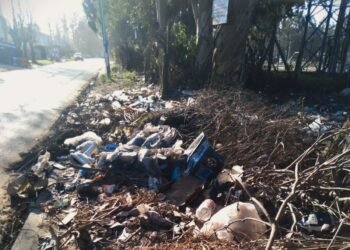 Mar del Plata: en nuestra casa común, la inseguridad está en todos lados, en especial en los barrios