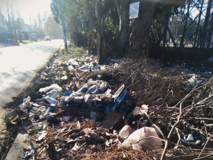 Mar del Plata: en nuestra casa común, la inseguridad está en todos lados, en especial en los barrios