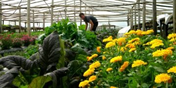 (Foto: Flavio Scasso/PNUD)