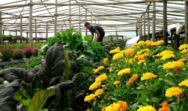 (Foto: Flavio Scasso/PNUD)