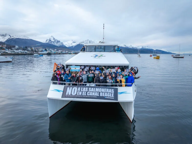 Salmoneras en Tierra del Fuego: cuando el negocio privado socava el derecho humano a un ambiente sano