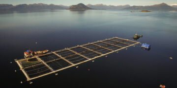 La legislatura de Tierra del Fuego pone en riesgo a los ecosistemas costero-marinos