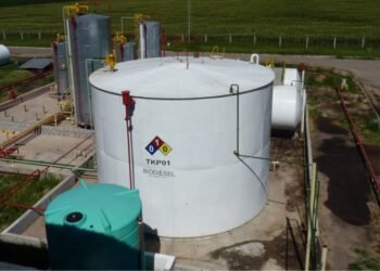 Ley 27.640: ¿Por qué Argentina necesita actualizar su marco de biocombustibles?