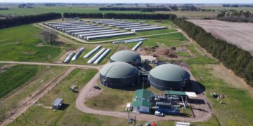 Una planta de biogás a base de efluentes porcinos redujo gases de efecto invernadero equivalentes a las emisiones anuales de 2851 autos