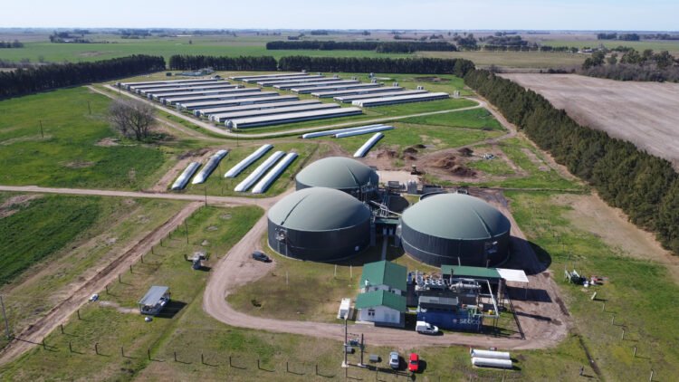 Una planta de biogás a base de efluentes porcinos redujo gases de efecto invernadero equivalentes a las emisiones anuales de 2851 autos