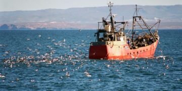 Otorgaron permisos pesqueros a empresas vinculadas a la pesca ilegal