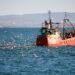 Otorgaron permisos pesqueros a empresas vinculadas a la pesca ilegal