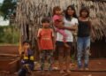 Nideport impulsa educación ambiental junto a comunidades locales e indígenas en la Selva Paranaense
