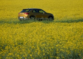 Mitos y verdades sobre los biocombustibles: desde su impacto en el motor hasta la protección del ambiente
