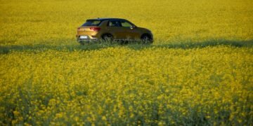 Mitos y verdades sobre los biocombustibles: desde su impacto en el motor hasta la protección del ambiente