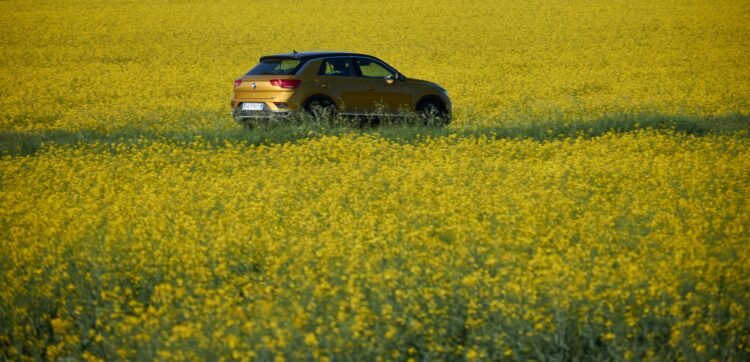 Mitos y verdades sobre los biocombustibles: desde su impacto en el motor hasta la protección del ambiente