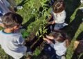 Fundación Manos Verdes inauguró el vivero educativo de plantas nativas “Yvyra porá” en Pilar