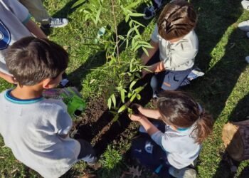 Fundación Manos Verdes inauguró el vivero educativo de plantas nativas “Yvyra porá” en Pilar