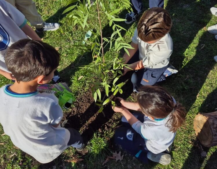 Fundación Manos Verdes inauguró el vivero educativo de plantas nativas “Yvyra porá” en Pilar