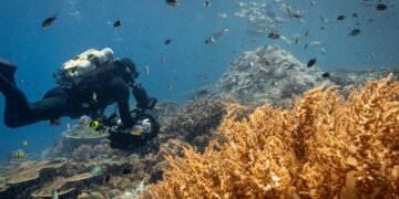 El documental “Ocean” abrió el debate sobre el futuro del mar y la crisis hídrica en Camarones
