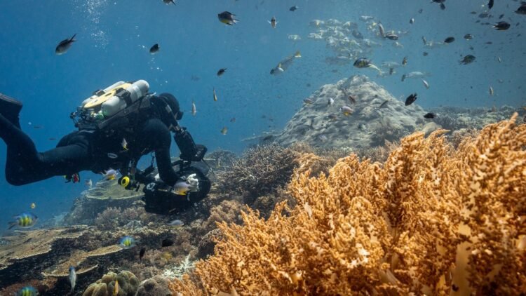 El documental “Ocean” abrió el debate sobre el futuro del mar y la crisis hídrica en Camarones