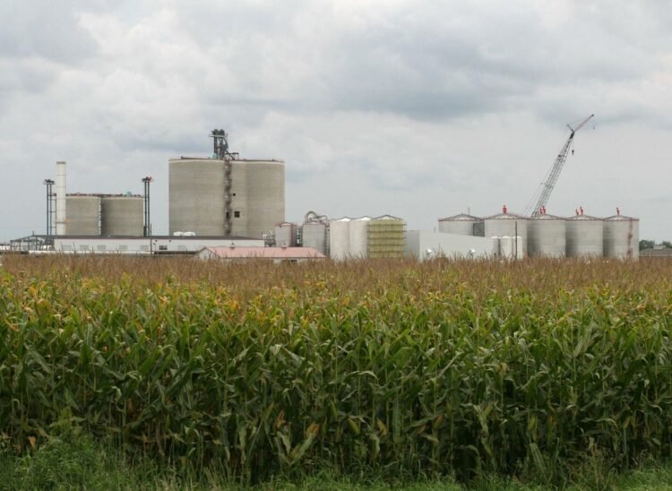 En el mapa global del bioetanol, Argentina se encuentra en una encrucijada